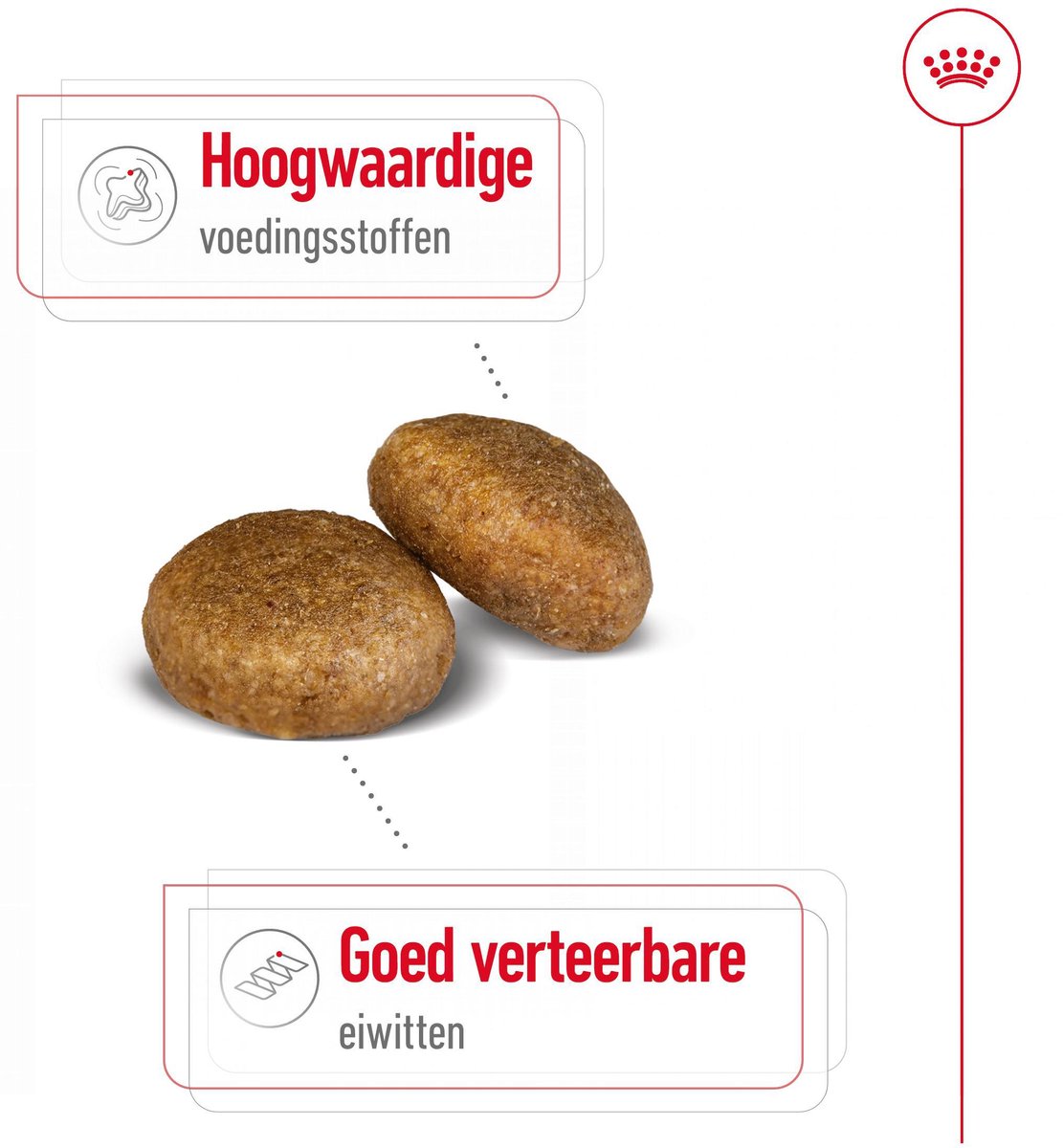 Royal Canin Maxi Adult - 10 kg - Hondenvoer thumbnail 6