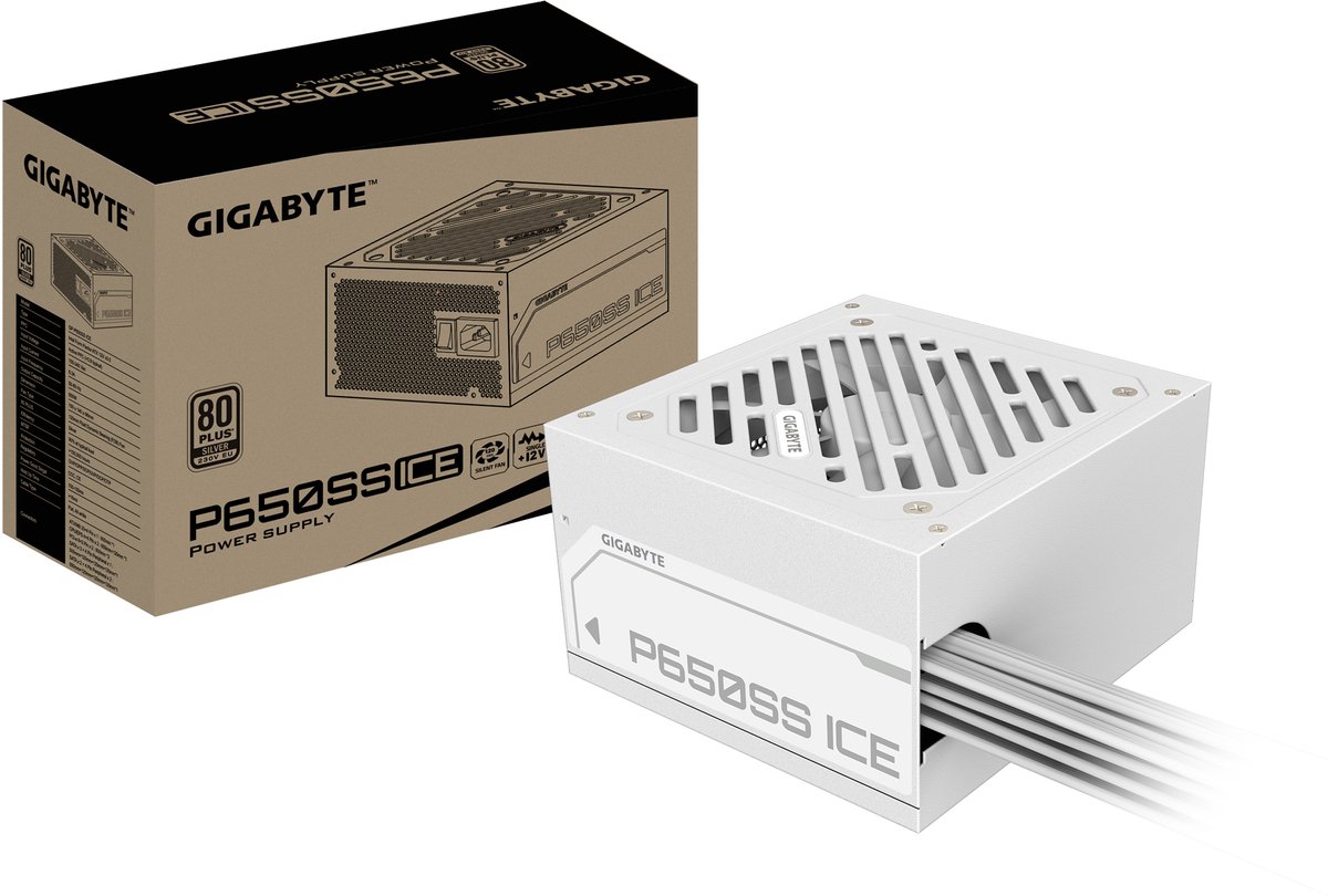 GIGABYTE P650SS ICE power supply unit 650 W 20+4 pin ATX ATX Wit