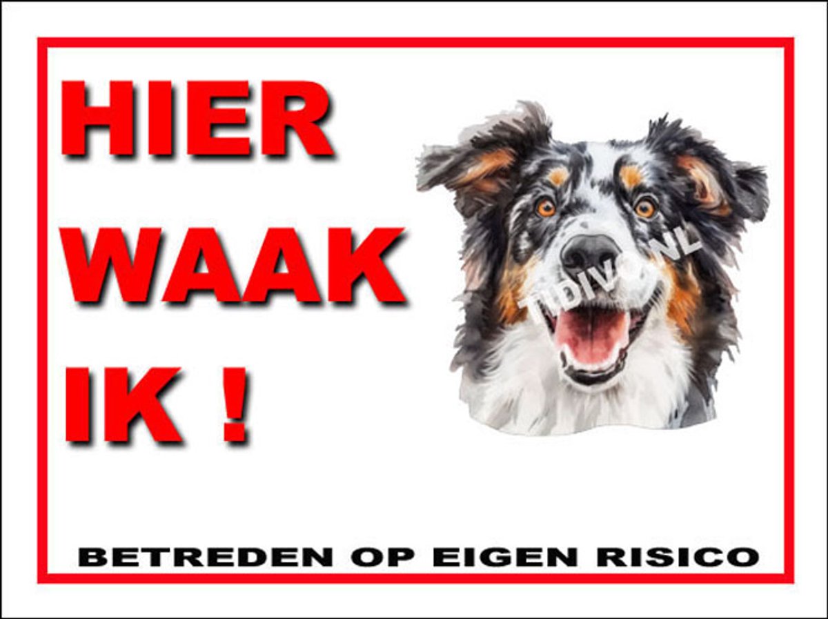 Engelse Shepherd 3