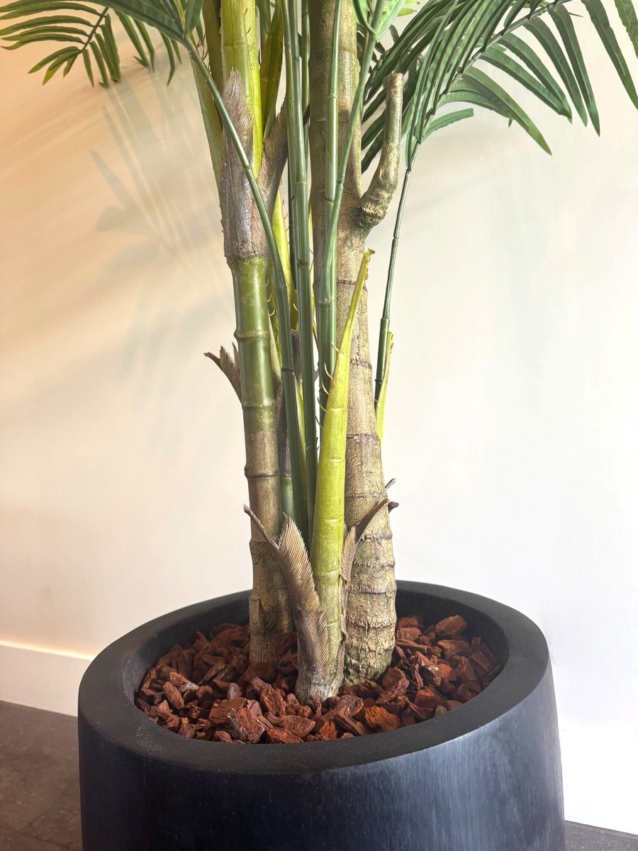 Zijden Palmboom – Kunstplant – 250 cm – Tropisch – Onderhoudsvrij