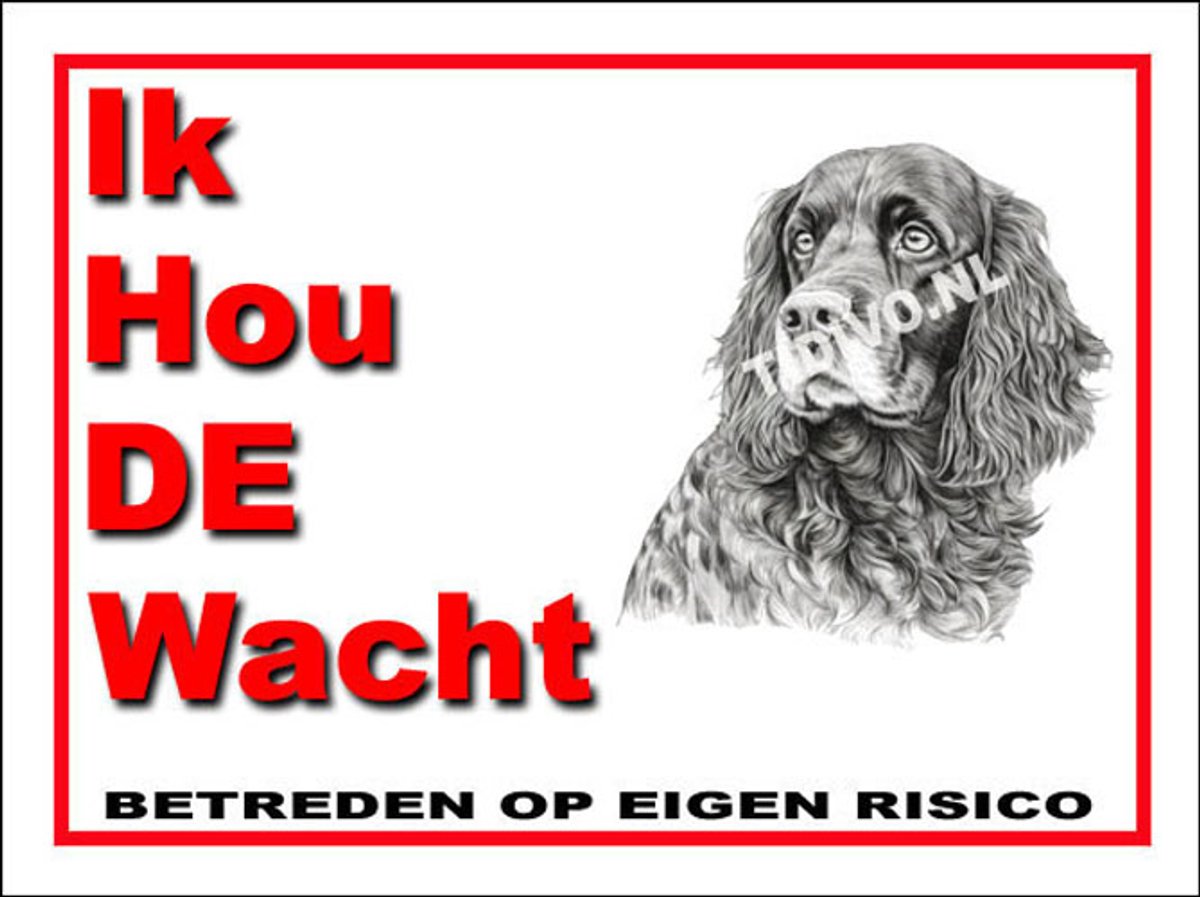 Field Spaniel 7