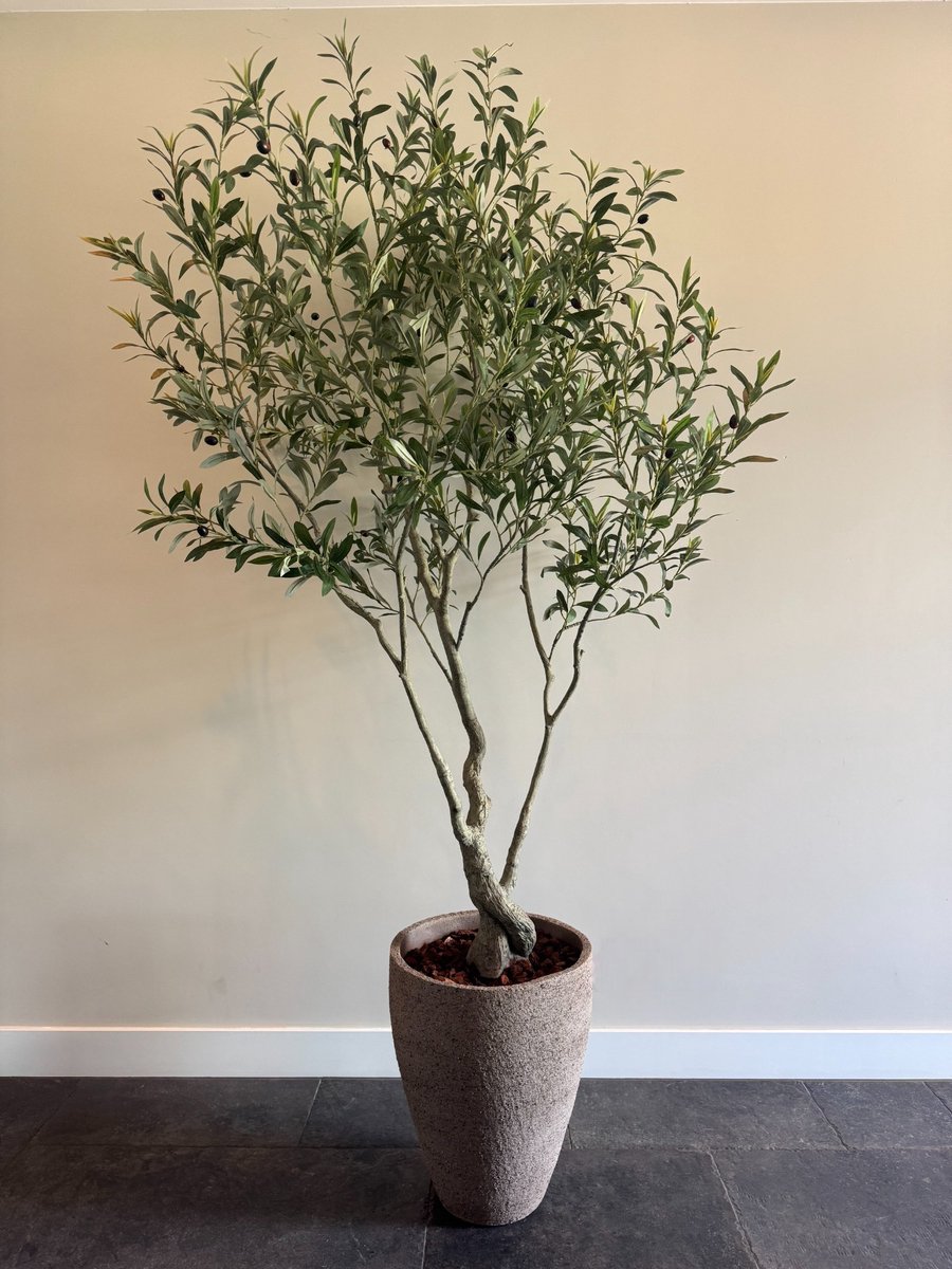 Zijden Olijfboom – Kunstboom – 210 cm – Mediterraan – Onderhoudsvrij
