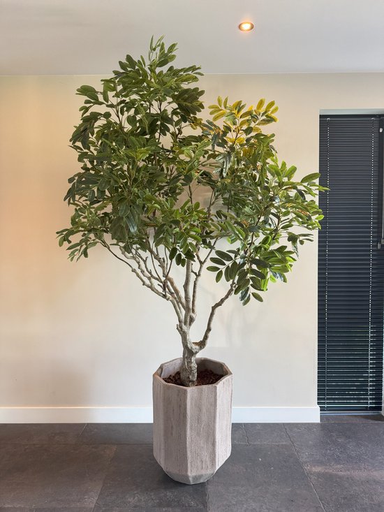 Kunstplant – Khaya – Zijden bladeren – 240 cm hoog