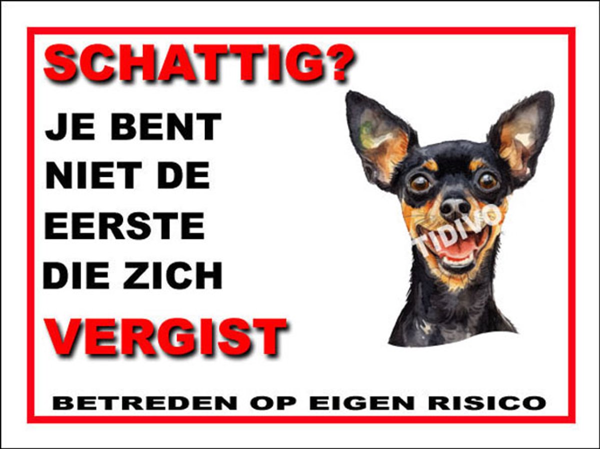 Engelse Toy Terrier 14