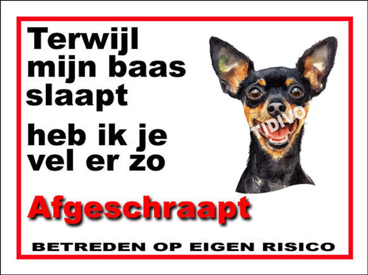 Engelse Toy Terrier 15