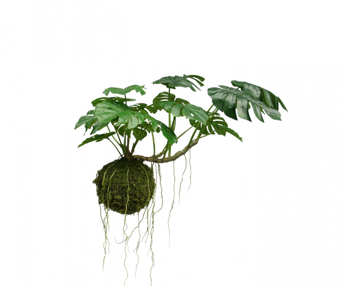 Silkka Silk-ka kunstplant-hangplant-Monstera-hangkunstplant-groot groen
