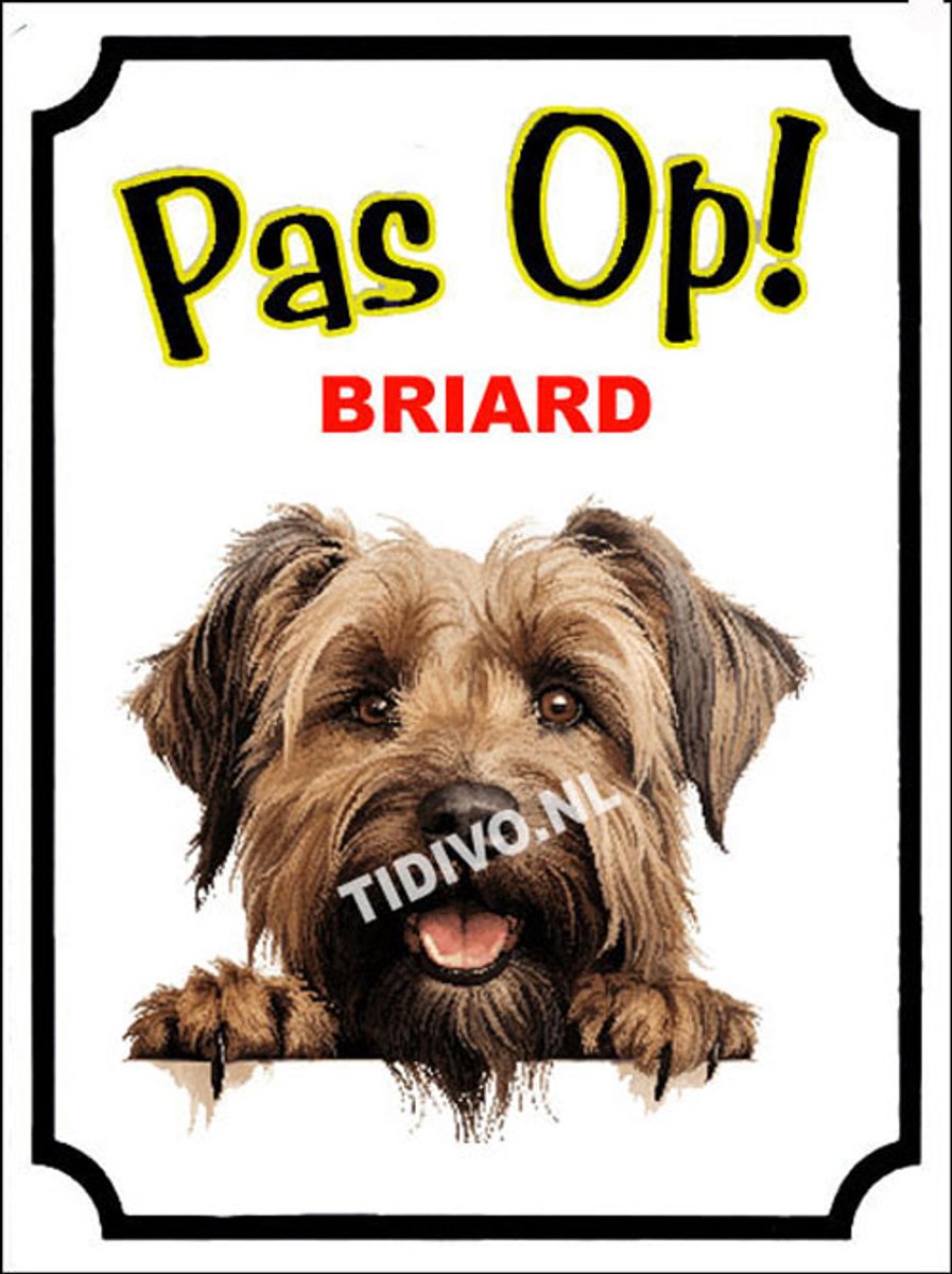 Briard 16