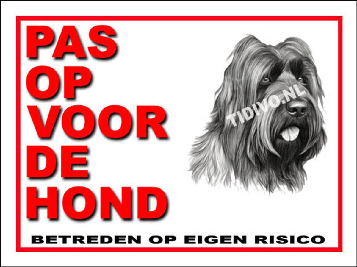 Briard 13