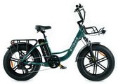 Vélo électrique ENGWE L20 Boost - Autonomie 120 km - Batterie amovible 48 V 13 Ah - Moteur 250 W - Shimano 7 vitesses - Freins à disque mécaniques - Vélo électrique urbain 20 pouces - Fatbike - Vert