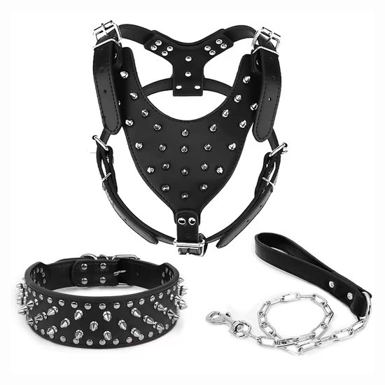 Stijlvolle Brede Lederen Halsband Voor Jouw Hond