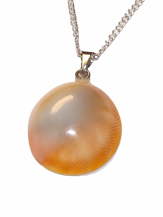 Natuurlijke Operculum Schelp Hanger