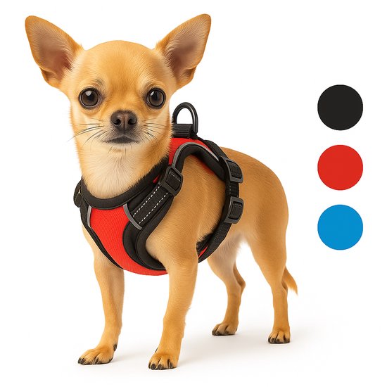Rood hondentuigje met zwarte accenten gedragen door een chihuahua. Beschikbaar in zwart, rood en blauw.