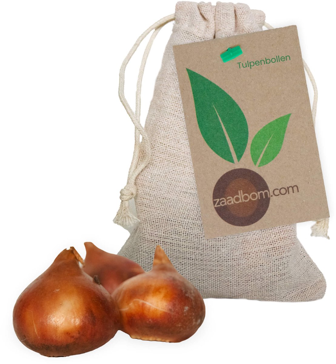 3 Tulpenbollen in Jute zakje - Rode Tulpen - Bloembollen - Tulpen - Tulp Parade - Bloemen - Cadeau - Zaadbom.com