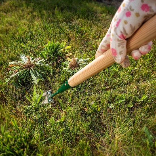 KADAX Onkruidsteker 55 cm, onkruidverwijderaar van metaal, steker voor efficiënt verwijderen van onkruid, onkruidwieden met lange steel van hout, comfortabele wieder met twee messen van Merkloos	 — afbeelding 4