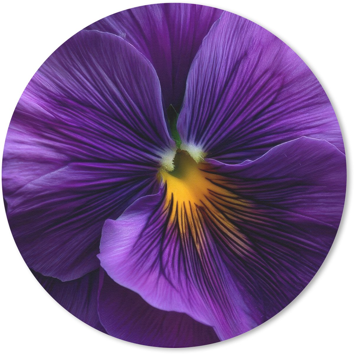 Muismat rond 30x30 cm - Mousepad Paars - Viool - Diepte - Ronde muismatten
