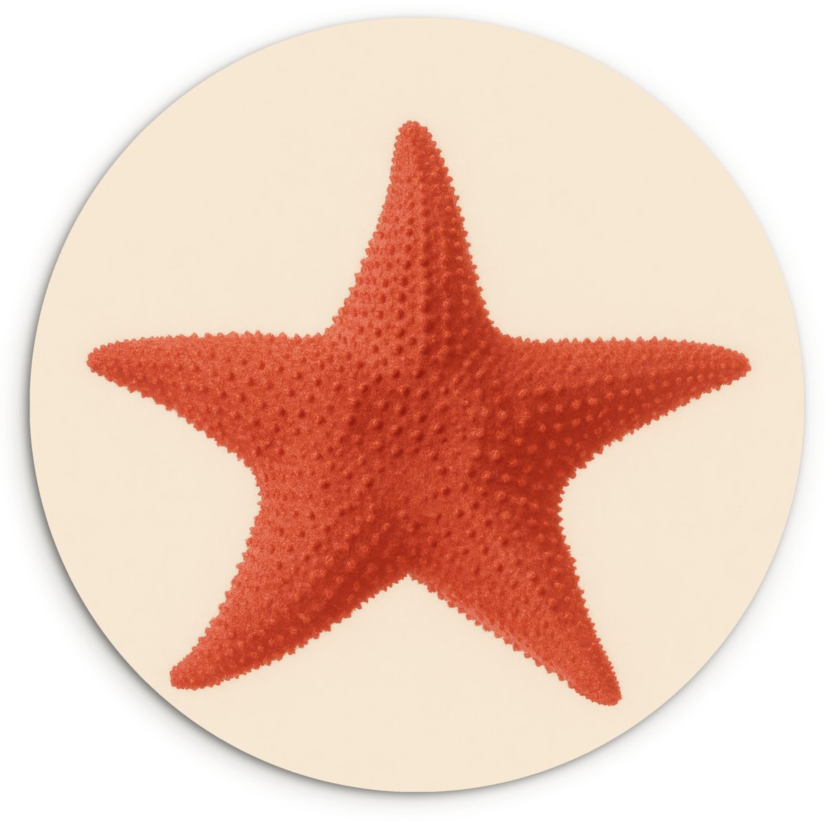 WallCircle Wandcirkel 150x150 cm - Muurcirkel Zeester - Bobbels - Rood - Muurdecoratie woonkamer - Wanddecoratie slaapkamer - Kamer decoratie accessoires - Ronde schilderijen