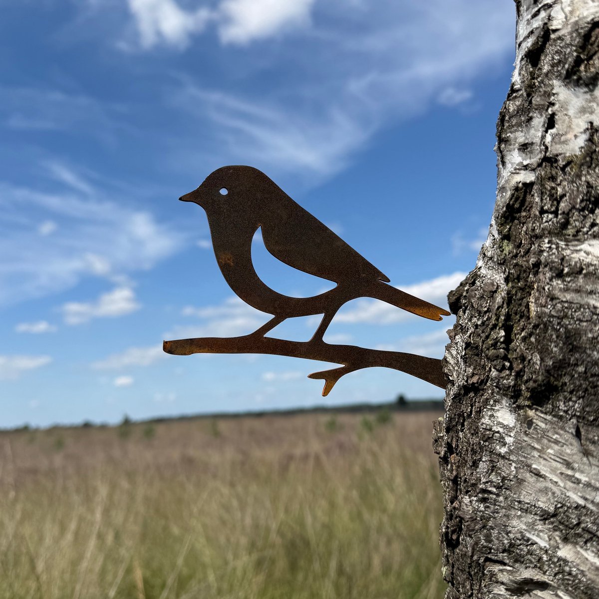 Tuinvorm RUDZIK - CORTENSTAAL - Metalbird - Vogel