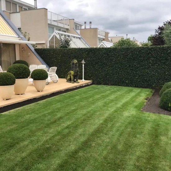 Een aangelegde tuin met strak gemaaid gazon, plantenbakken met bolvormige struiken en een leeuwenbeeld.