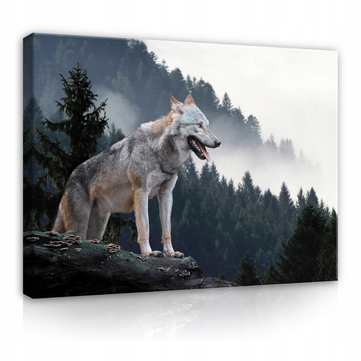 WALLARENA Canvas schilderij - 120x80 cm - afbeelding van een wolf in de bergen met mist multikleurig