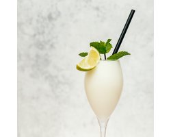 Gelita sgroppino mix voor slush machine basismix 350g, granita, limoen sorbet, citroen sorbet, mocktail, cocktail, verfrissend, frozen drinks, dessert, borrel,
