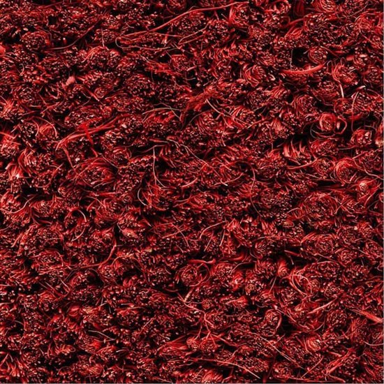 Ikado Kokosmat rood op maat 17mm - 100 x 200 cm | bol