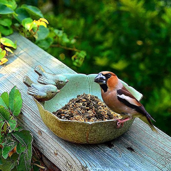 Rond vogelbad met twee decoratieve vogels, vogelbad, tuindecoratie, staand vogelbad, vogelschaal van keramiek, waterbad voor wilde vogels, bijen, insecten, winterbestendig en vorstbestendig, 1 verpakking