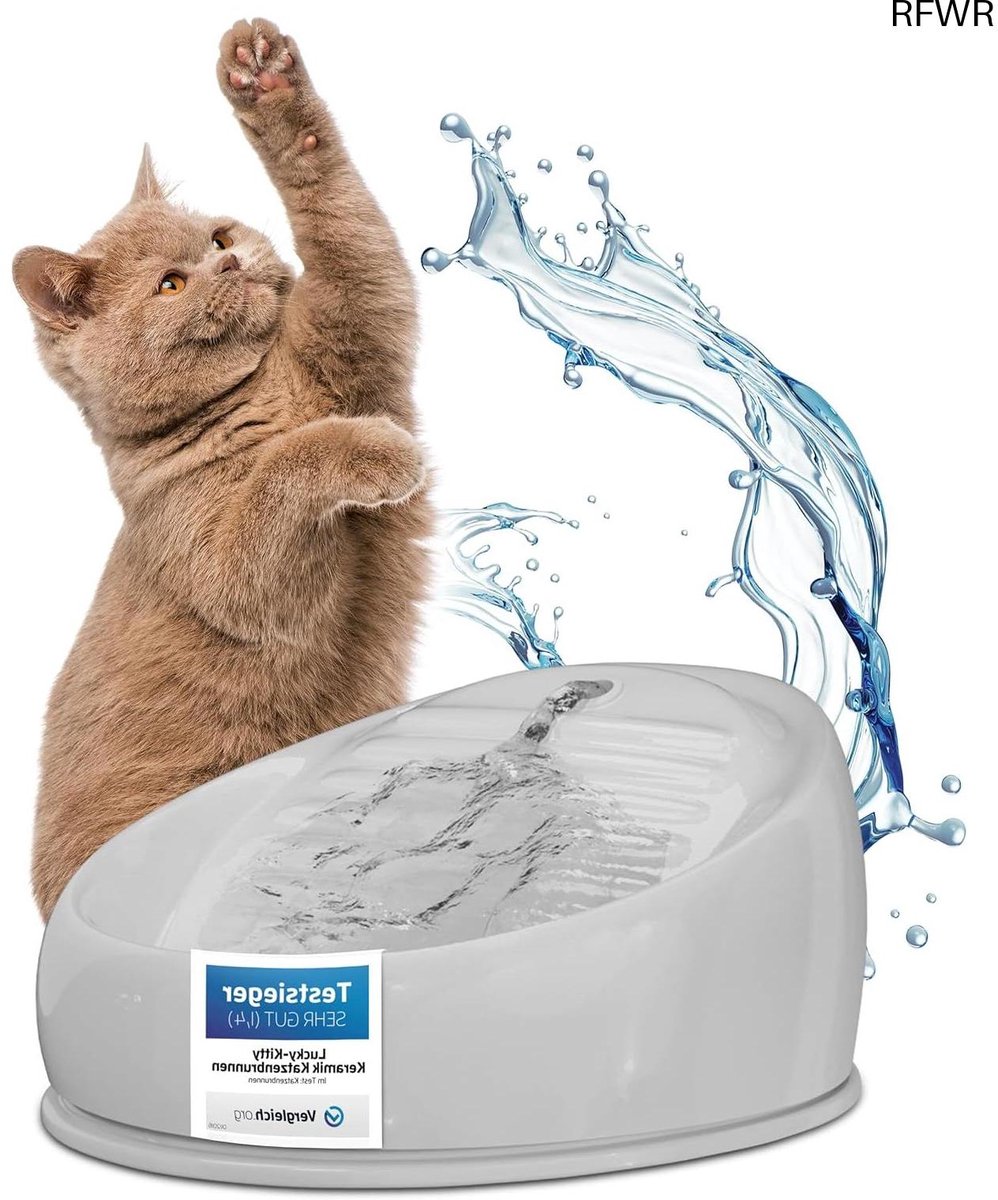 RFWR® Drinkfontein voor katten - keramisch, hygiënisch, stil en energiebesparend waterdispenser