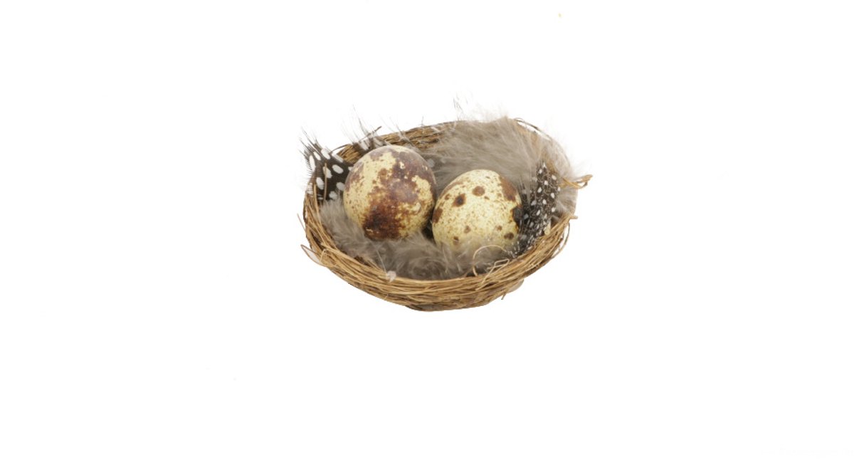 Deco Nest met eitjes en veren 6 st. Ø7cm
