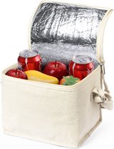 Sac isotherme - Lunch bag - Cooler bag lunch - Éléments de refroidissement rafraîchissants - Isolation - Adultes - Femme - Homme - 17 x 22 cm - Katoen - blanc cassé