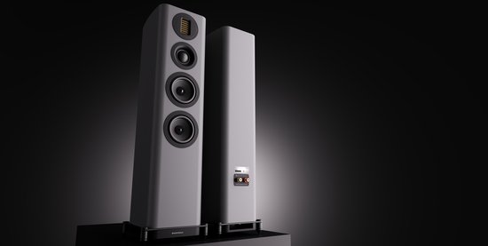 Wharfedale EVO 5.3 Vloerstaande Speakers - Hifi Stereo Set - Passieve Speaker - 3-Weg Luidsprekers - Grijs van Wharfedale — afbeelding 5