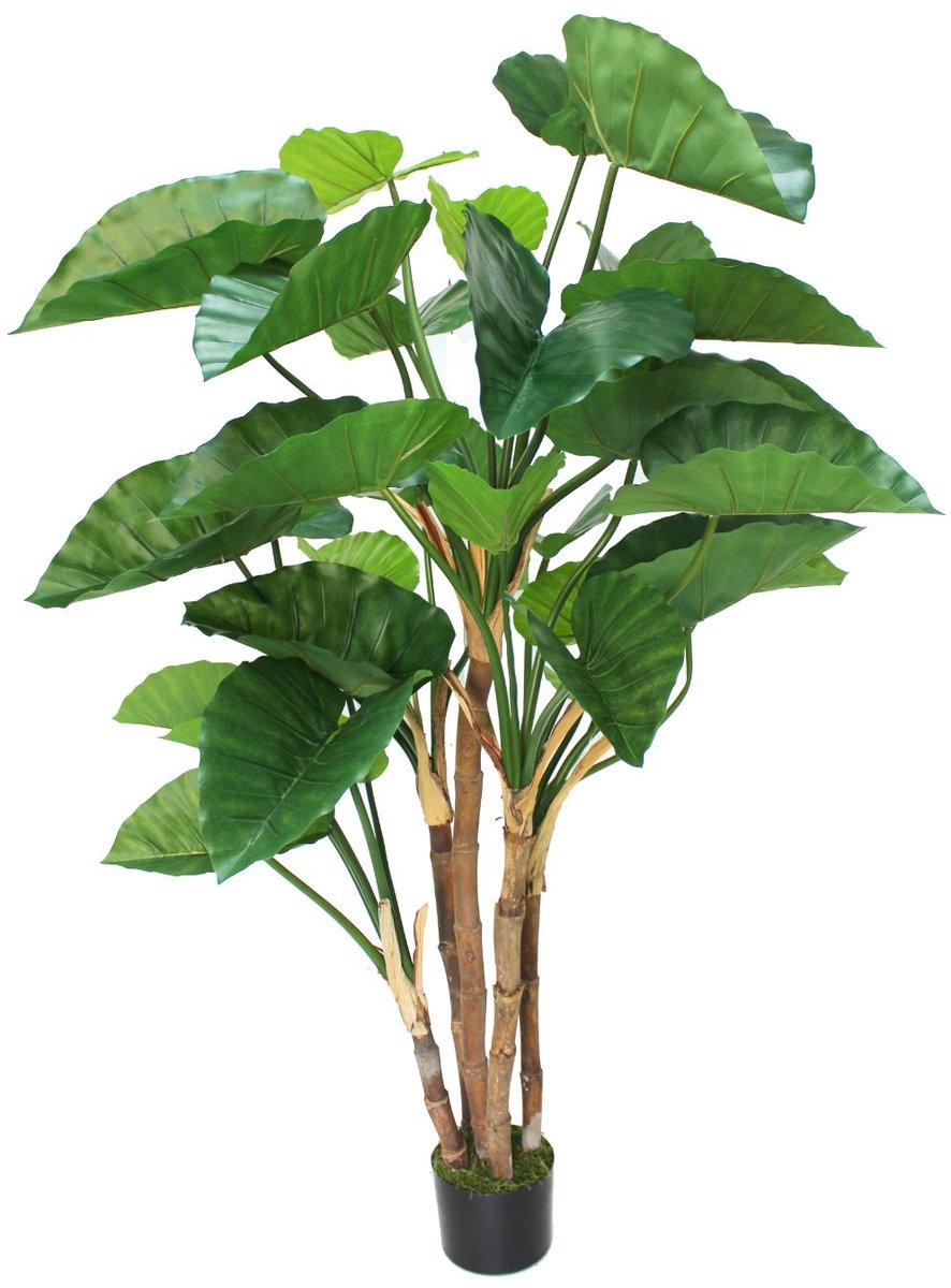 Alocasia Kunstplant 165cm | Hoogwaardige Kunstplant | Nep Alocasia | Kunstplant voor Binnen | Groene Kunstplant | Alocasia Nepplant