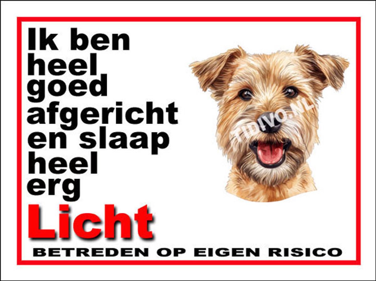 Lucas Terrier 4