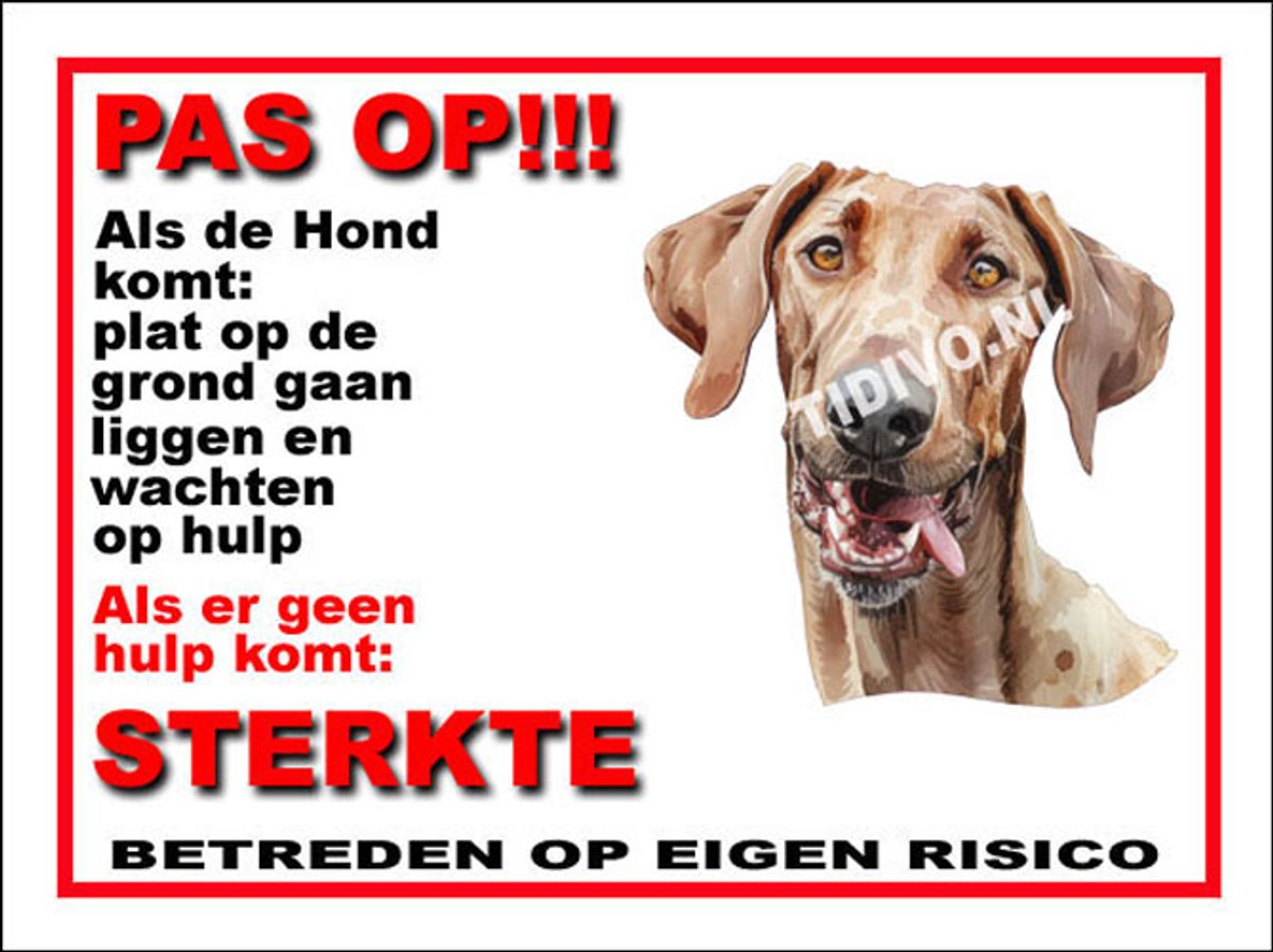 Mudhol Hond 12