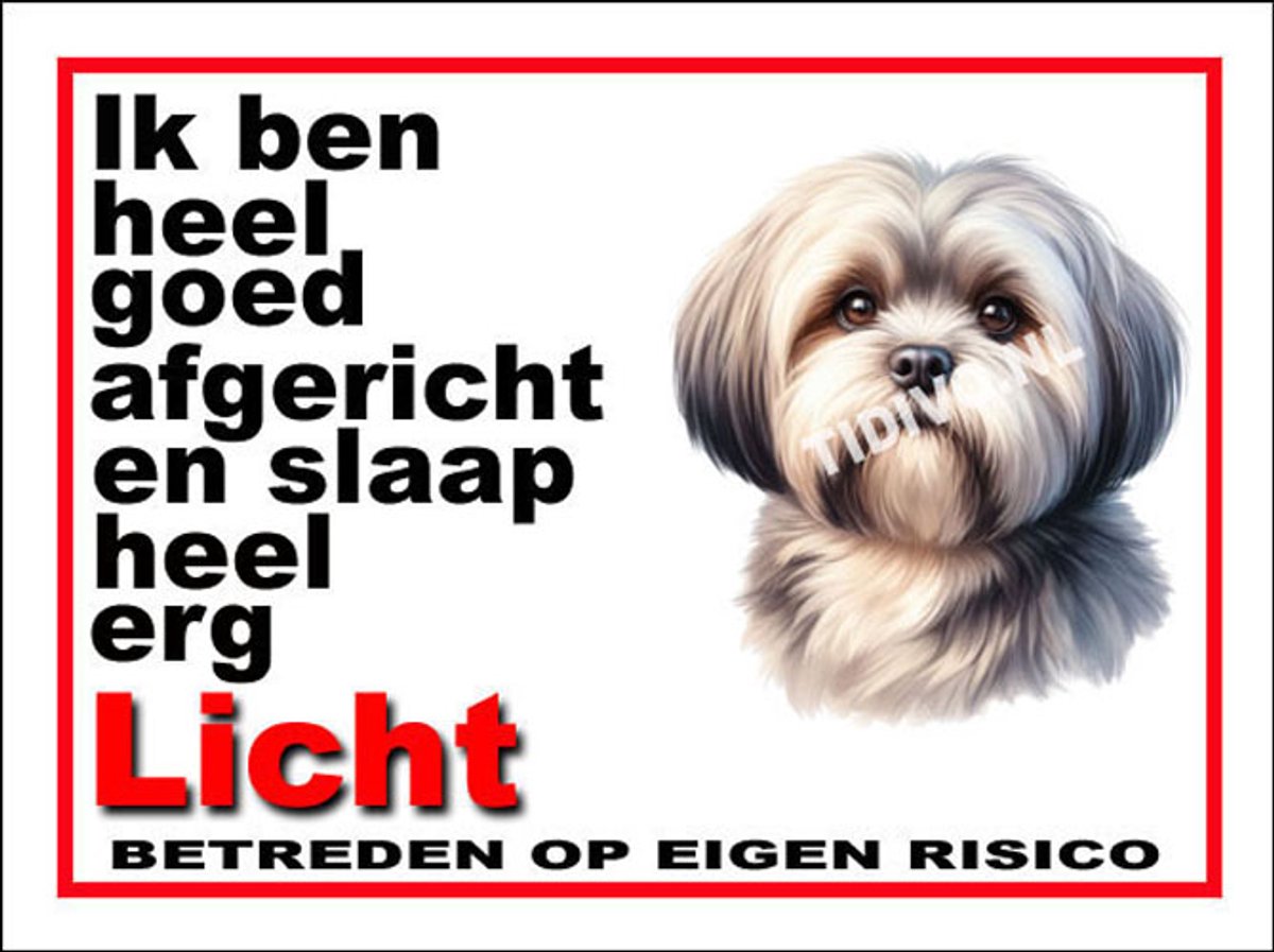Lhasa Apso 4