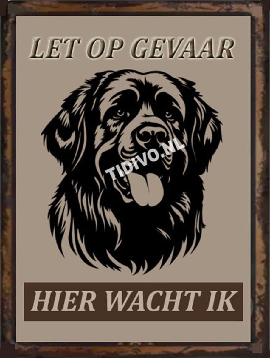 Leonberger 18