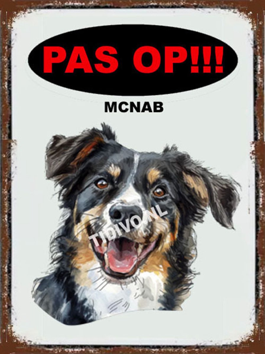 McNab Dog 17