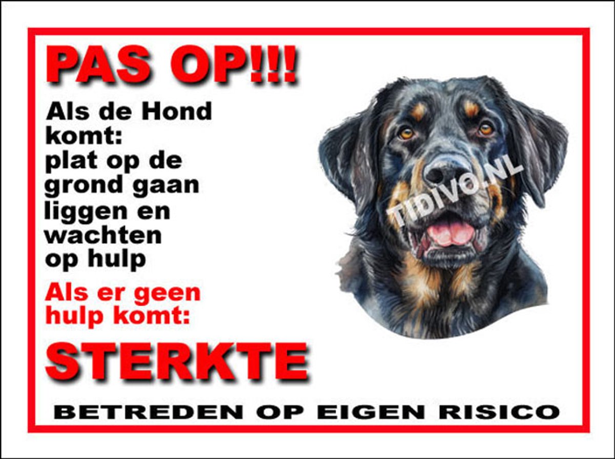 Münsterländer 12