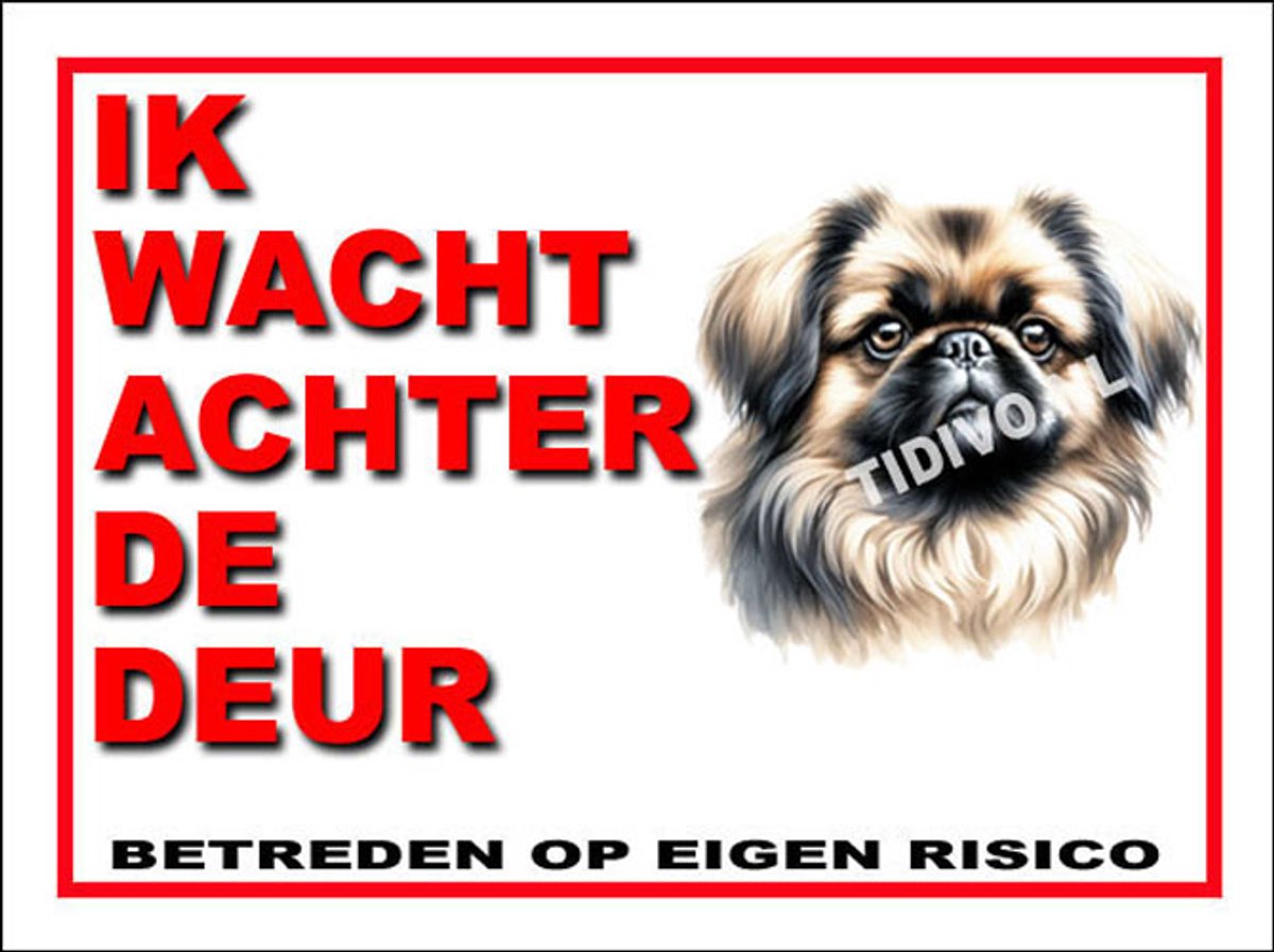 Pekingees 10