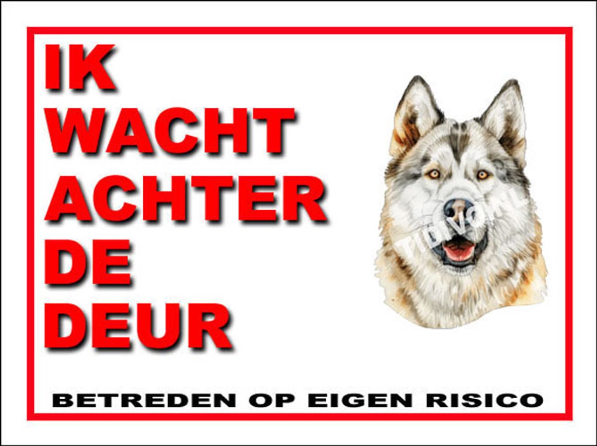 Oost-Siberische Laika 10