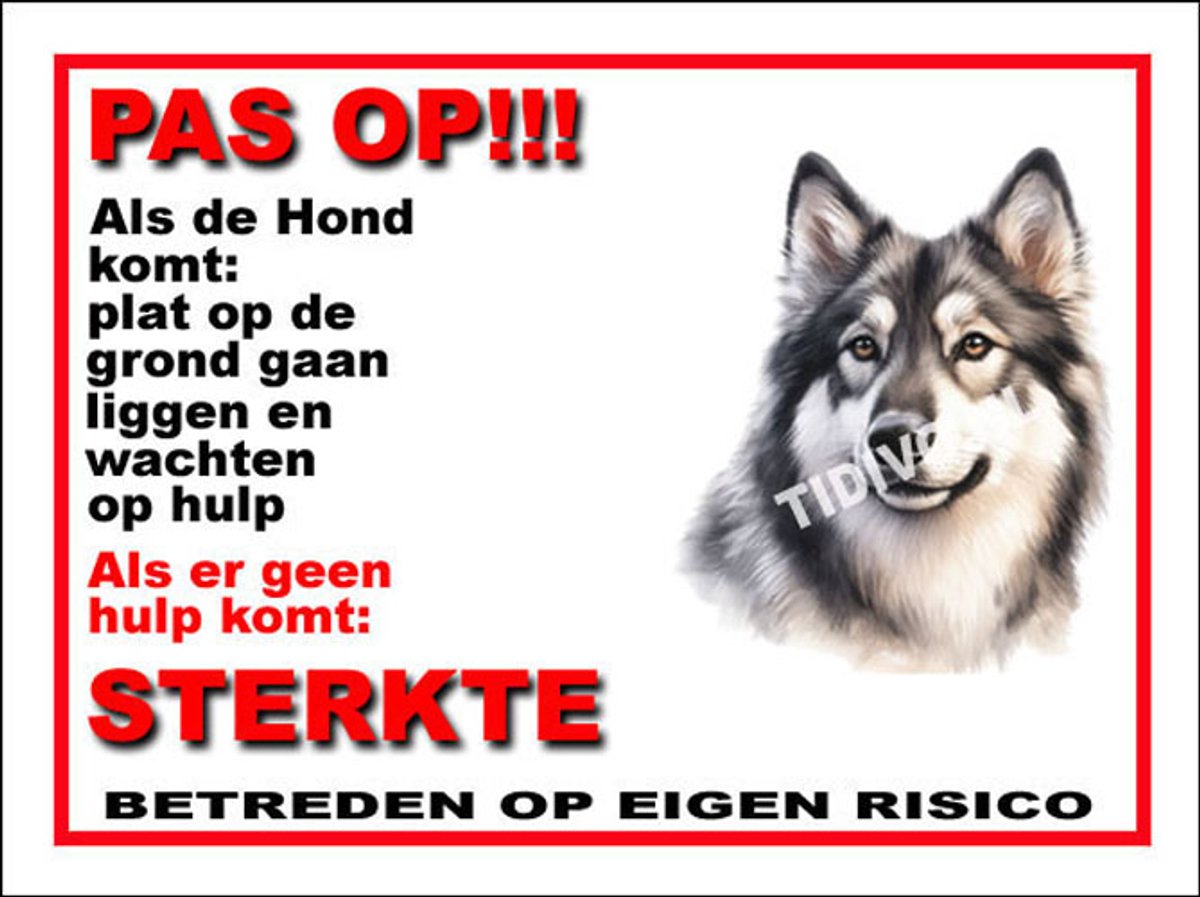 Noorse Elandhond 12