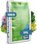 Purasana Plantaardige houtskool capsules