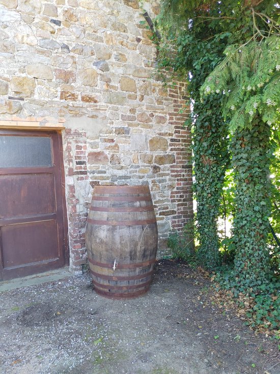 Baril en bois avec des cercles métalliques, placé dehors à côté d'un mur de pierre et d'une plante grimpante verte.