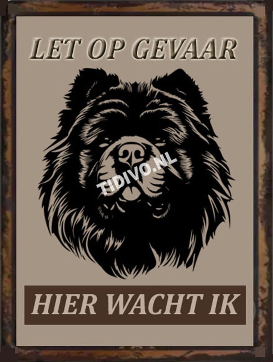 Chow Chow 18