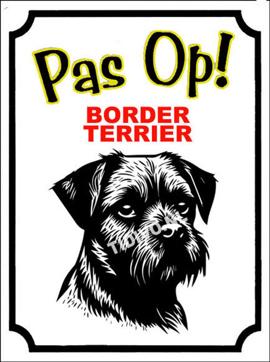 Border Terrier 16