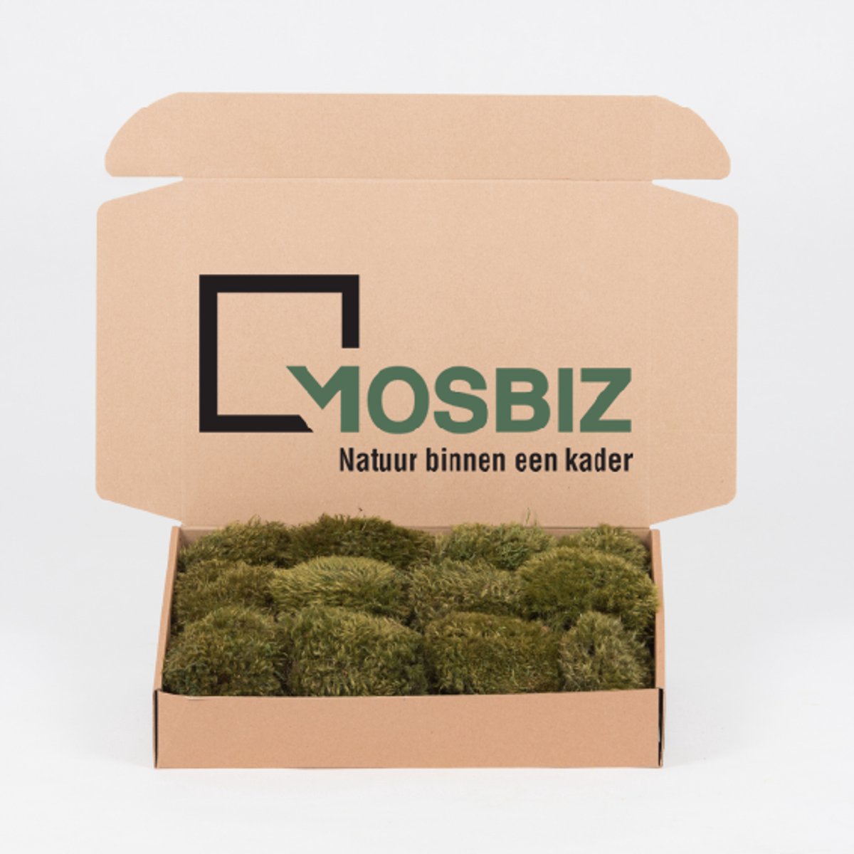 Hairy Mos | Medium Green | Moodmos | 0,1m2 | Decoraties| Schilderijen| Mos wanden| 400 gram