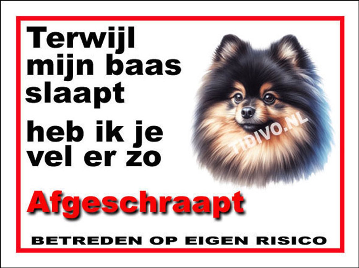 Dwergkeeshond 15