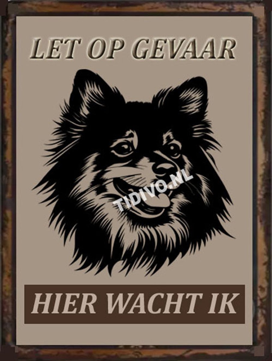Dwergkeeshond 18