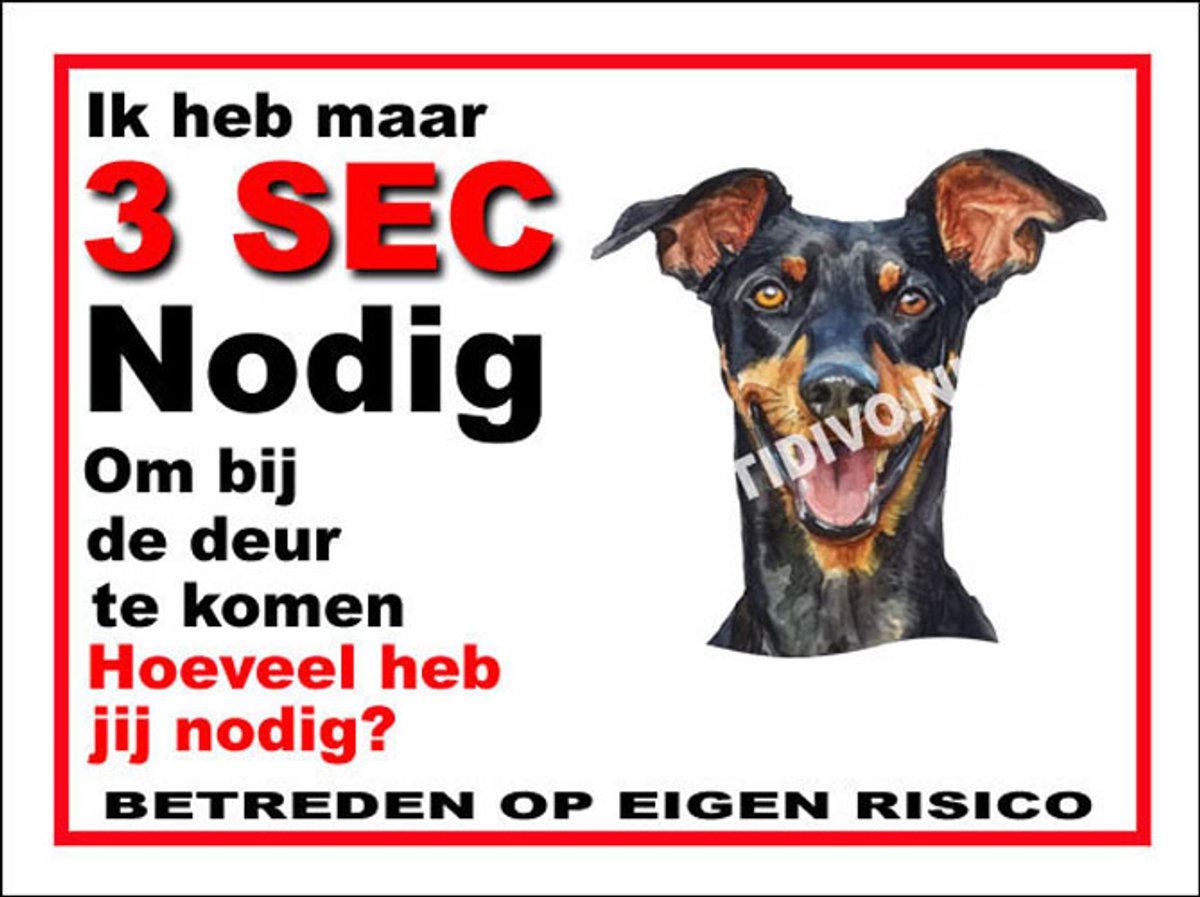 Duitse Pinscher 6