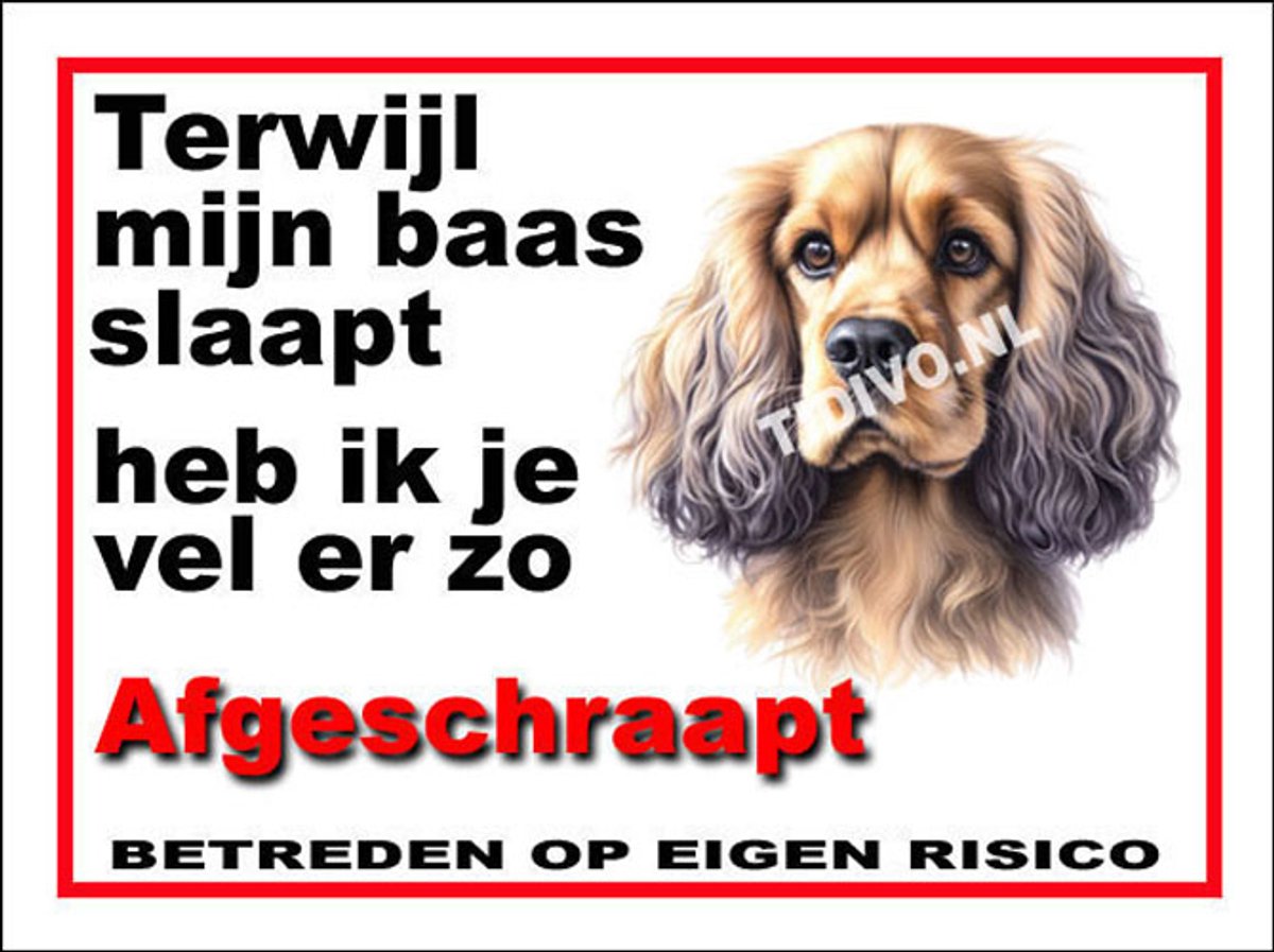 Cocker Spaniel 15