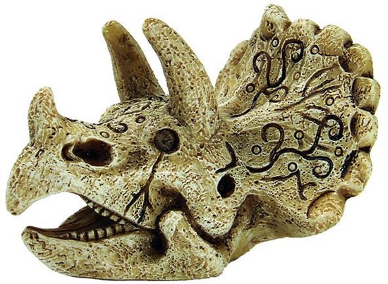 Superfish skull triceratops s